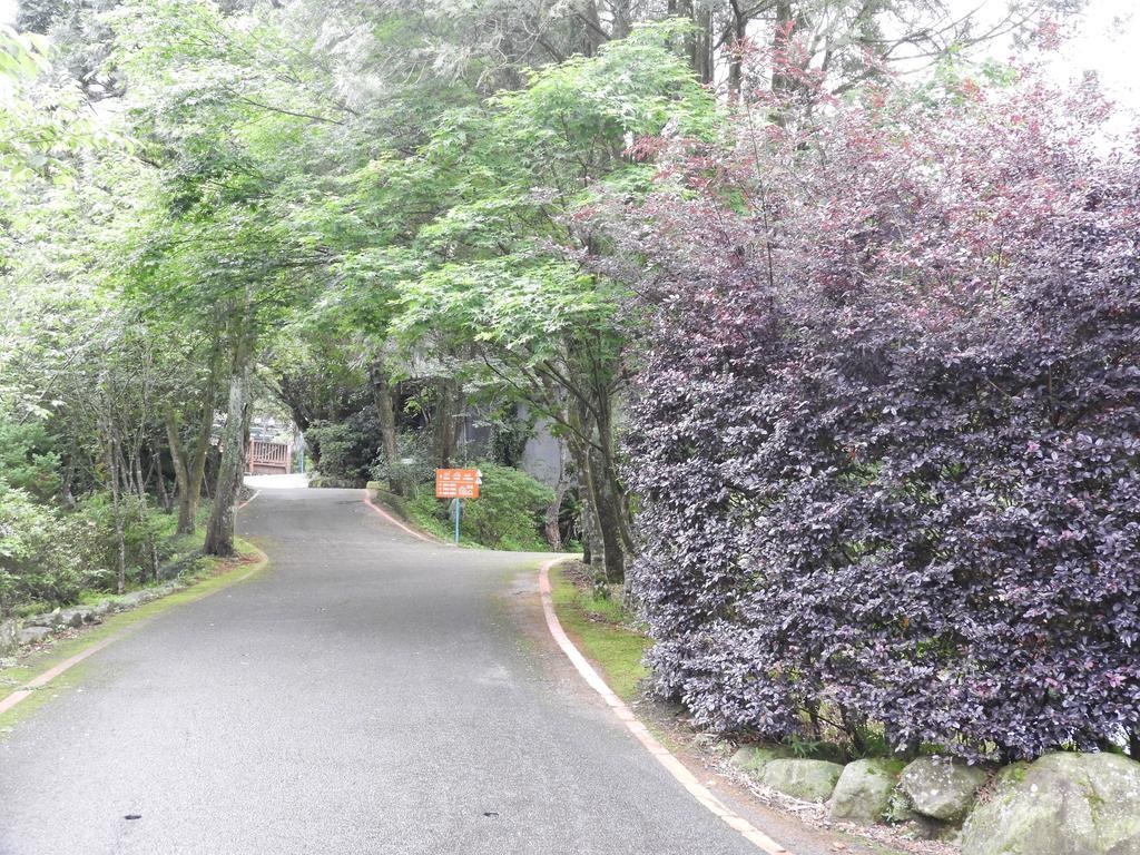 신주 발리 포레스트 핫 스프링 리조트 헝산 향 외부 사진