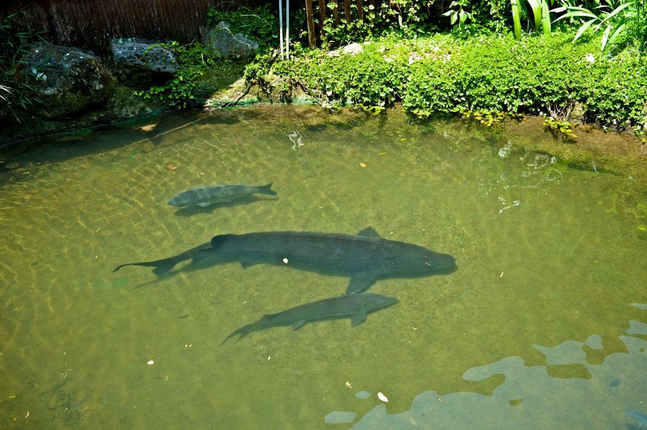 신주 발리 포레스트 핫 스프링 리조트 헝산 향 외부 사진